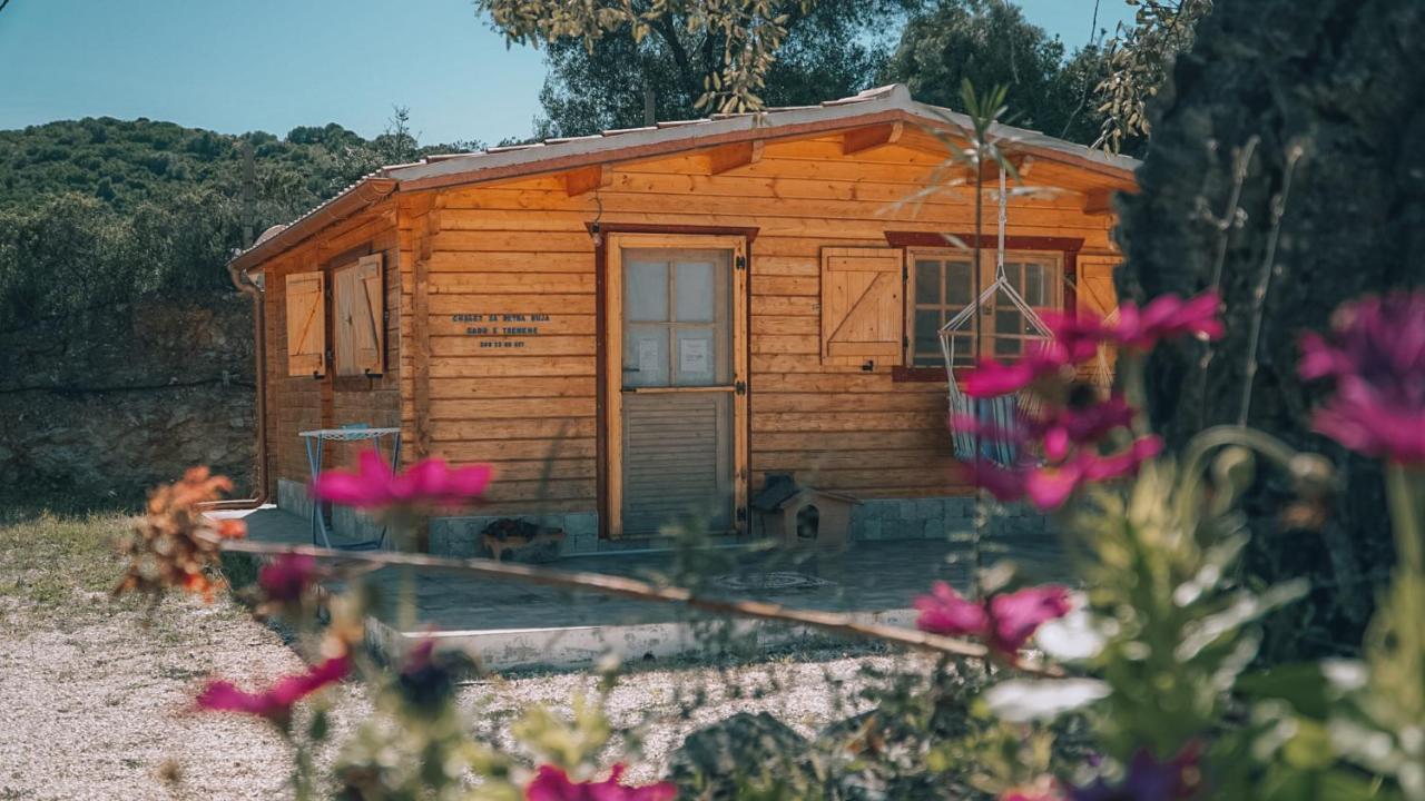 Chalet Sa Petra Ruja - Gadu E Tremene Siniscola Exteriér fotografie